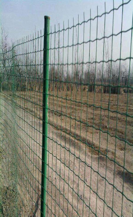 1557711521633dd9c3a8f-3706-472a-a0a3-40aff77cd818.jpg 1557711521633dd9c3a8f-3706-472a-a0a3-40aff77cd818.jpg