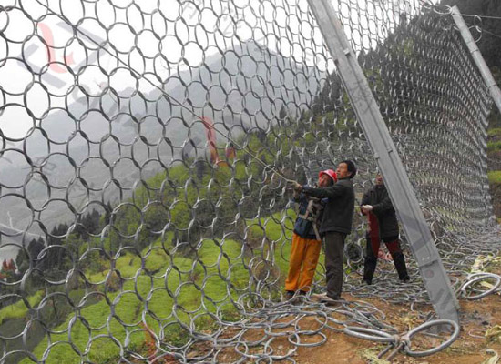 邊坡防護(hù)網(wǎng) 邊坡防護(hù)網(wǎng)